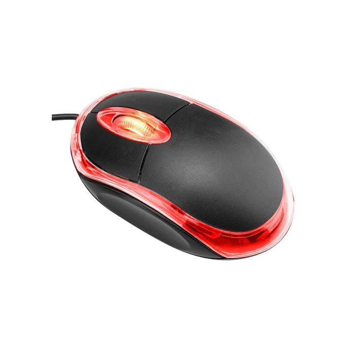Souris Standard